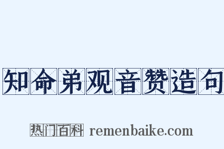 知命弟观音赞造句是什么意思的图片